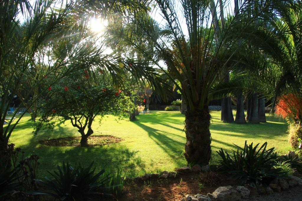 Finca Hotel Predio Son Serra Кан-Пікафорт Екстер'єр фото